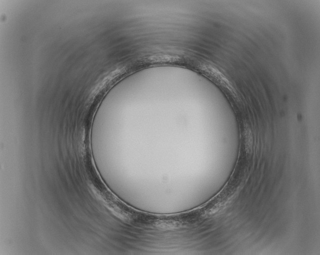 X0000078260490200611251332