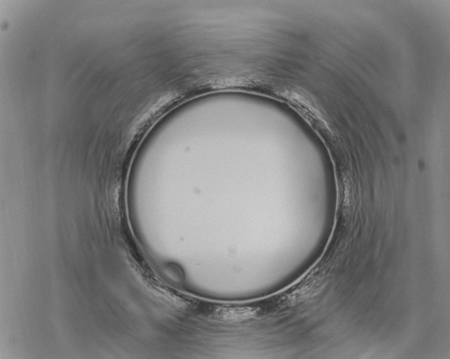 X0000078260491200611251332