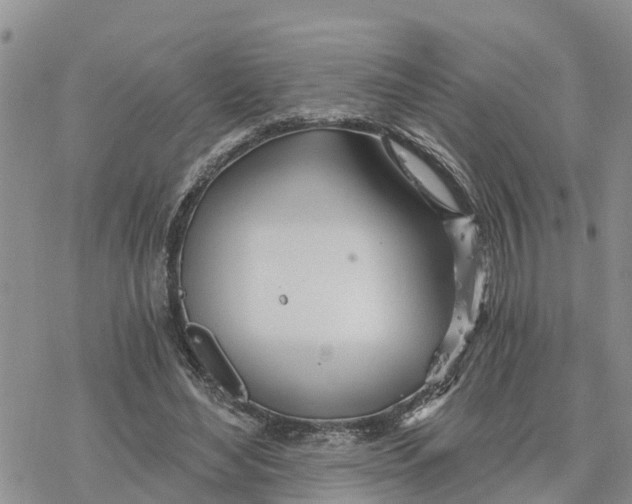 X0000078260492200611251332