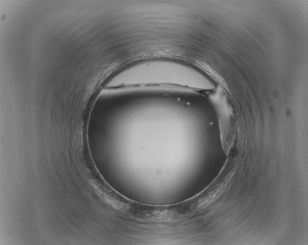 X0000078260493200611251332