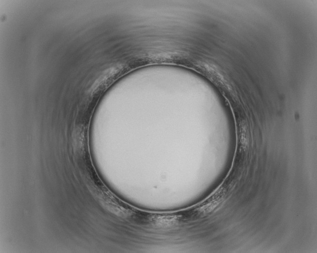 X0000078260495200611251332