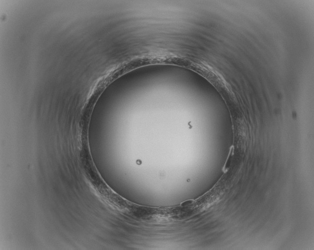 X0000078260496200611251332