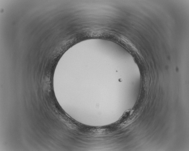 X0000078260497200611251332