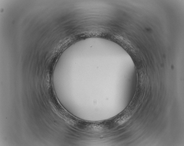 X0000078260498200611251332