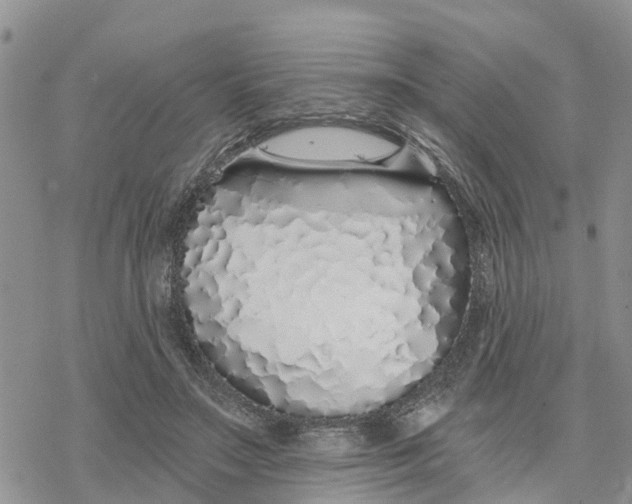 X0000078260499200611251332