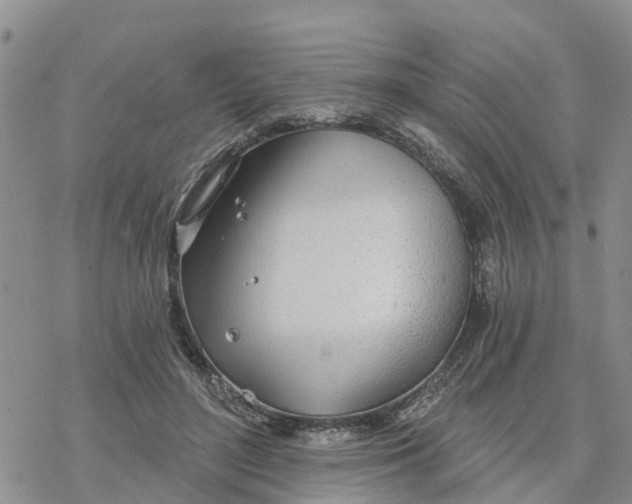 X0000078260500200611251332