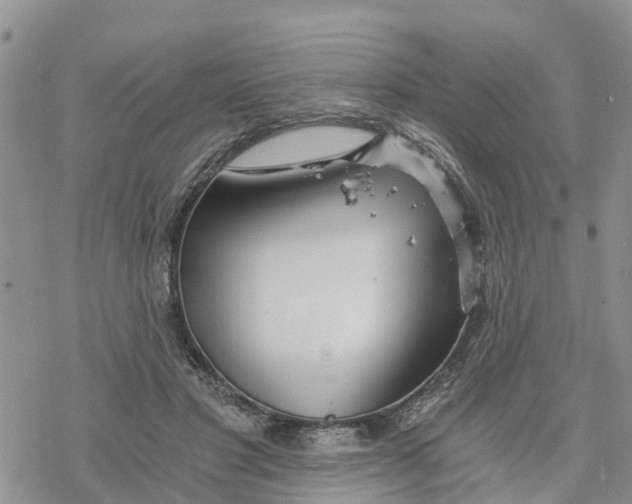 X0000078260501200611251332