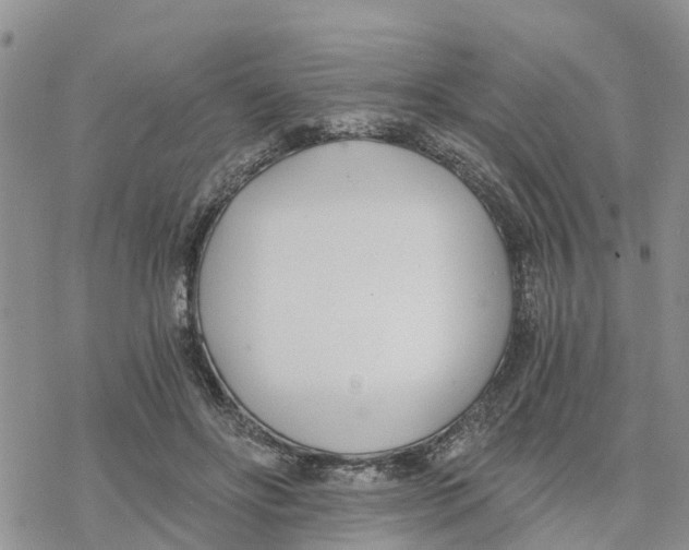 X0000078260502200611251332