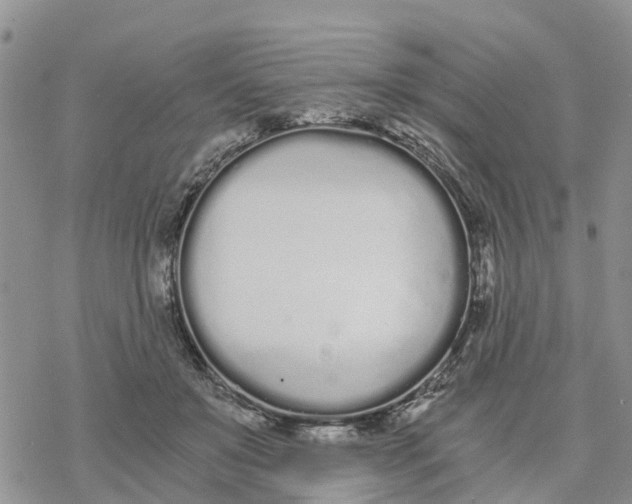 X0000078260503200611251332