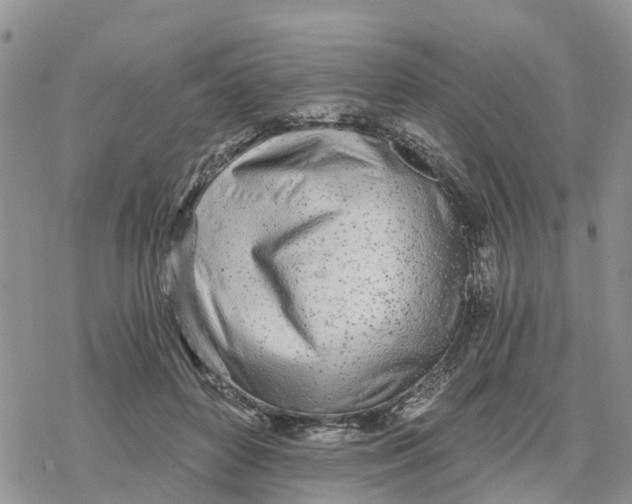 X0000078260504200611251332