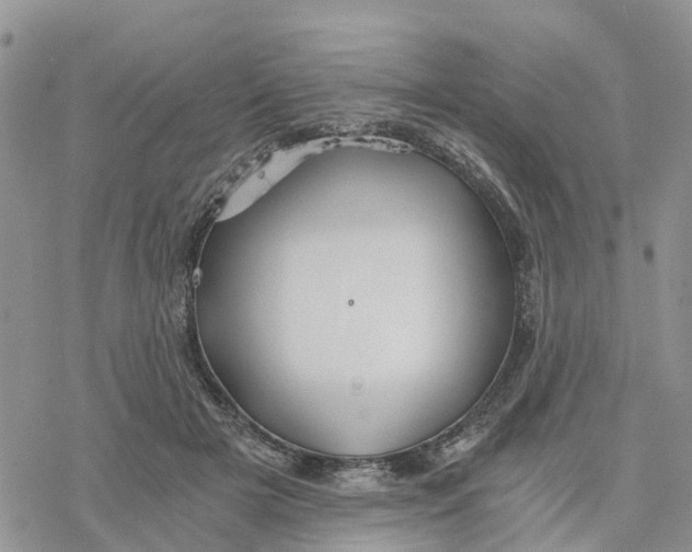 X0000078260505200611251332