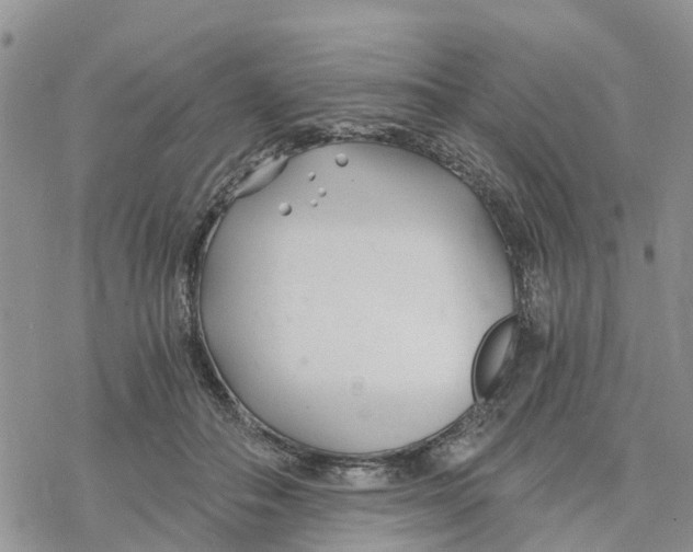 X0000078260506200611251332