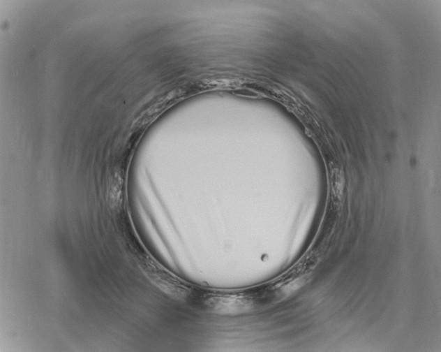 X0000078260507200611251332