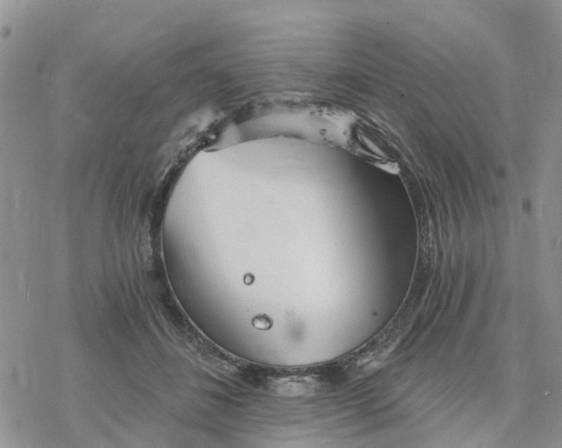 X0000078260508200611251332