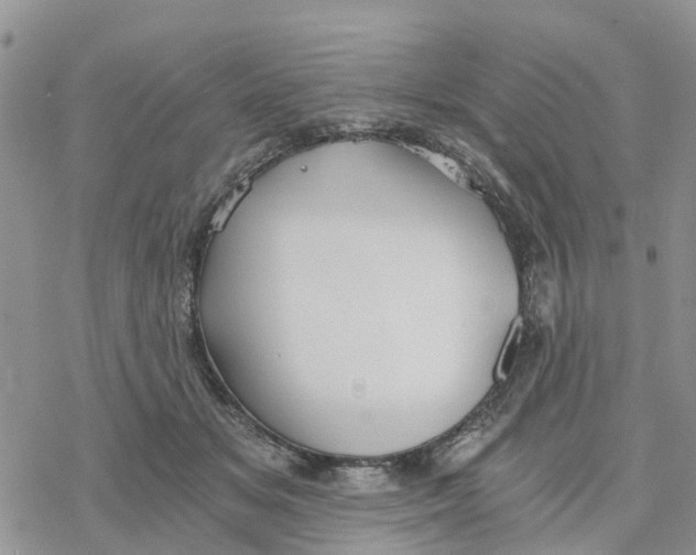 X0000078260509200611251332