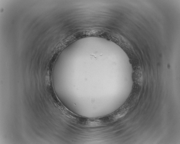 X0000078260510200611251332