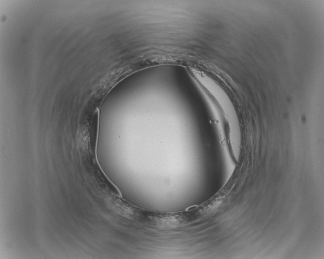 X0000078260513200611251332