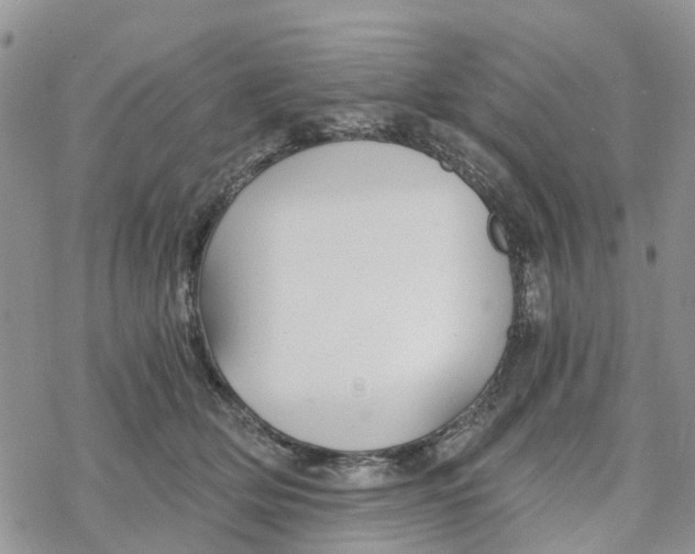 X0000078260514200611251332