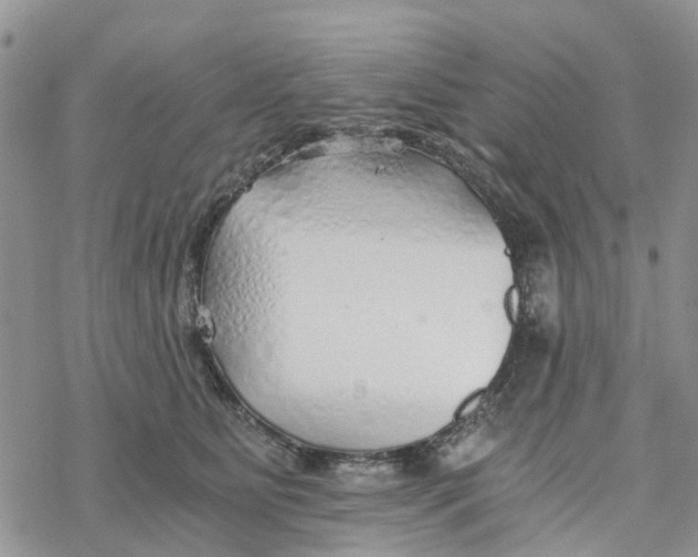 X0000078260515200611251332