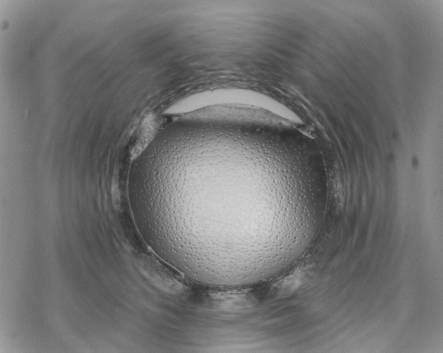 X0000078260516200611251332