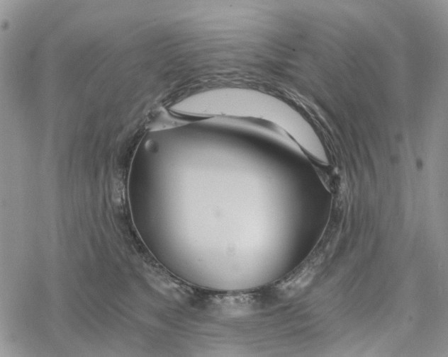 X0000078260517200611251332