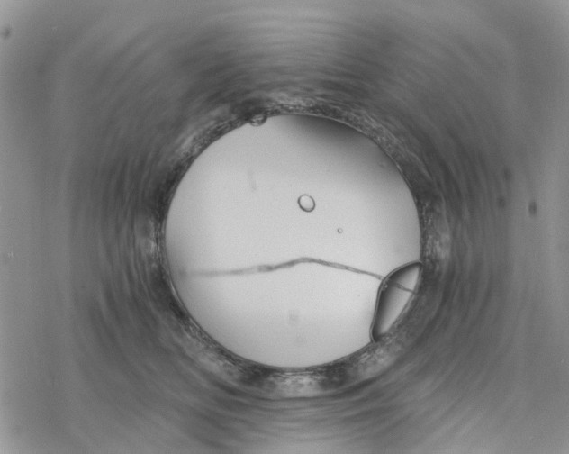 X0000078260518200611251332