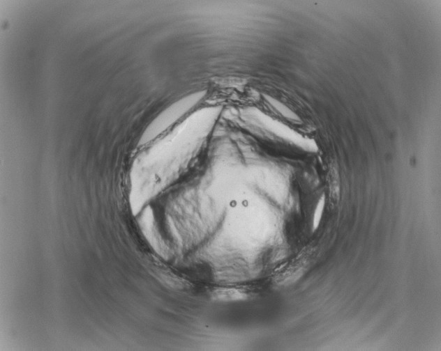 X0000078260519200611251332