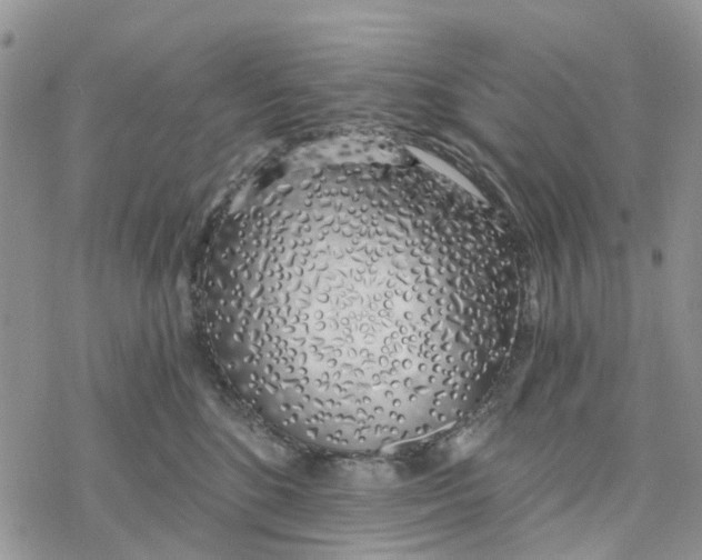 X0000078260520200611251332