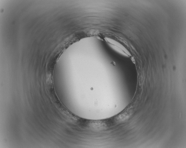 X0000078260521200611251332