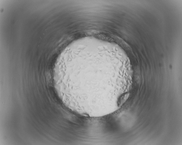 X0000078260523200611251332