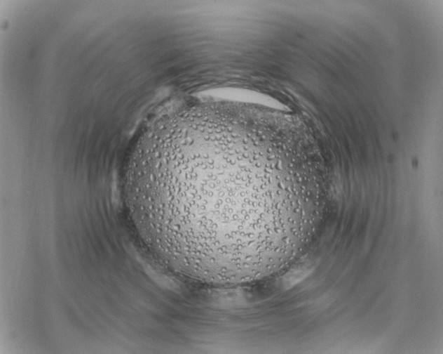 X0000078260524200611251332