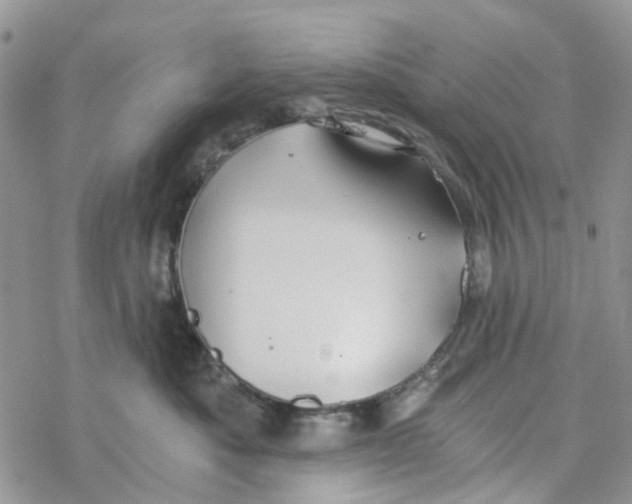 X0000078260525200611251332