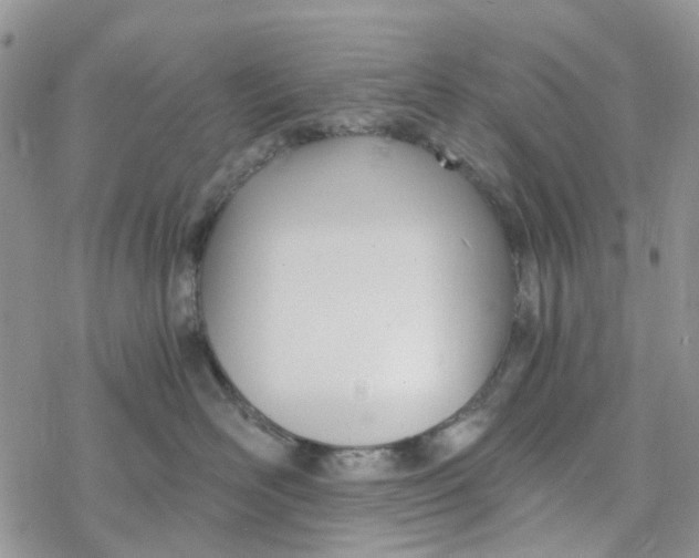 X0000078260526200611251331