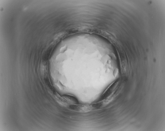 X0000078260527200611251331