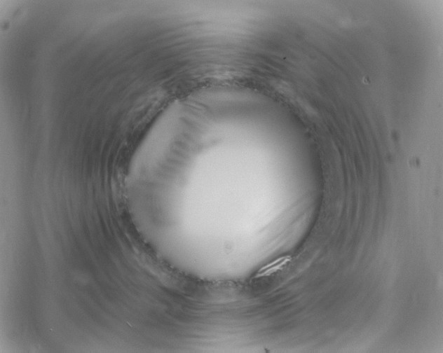 X0000078260528200611251331