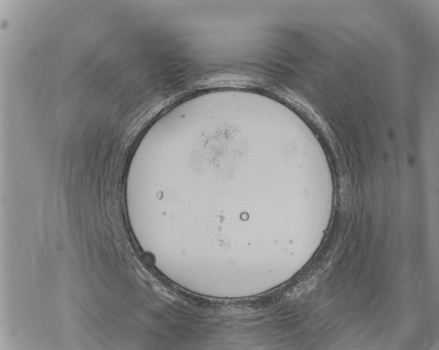 X0000078260529200611251331