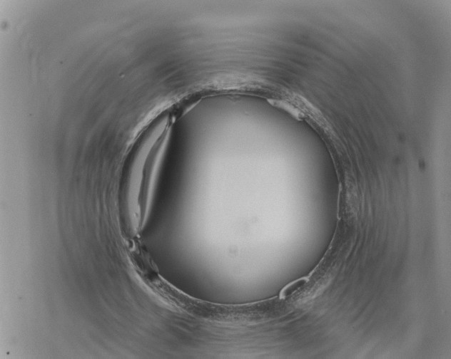 X0000078260530200611251331