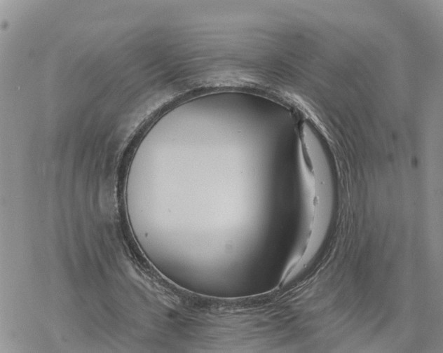 X0000078260531200611251331