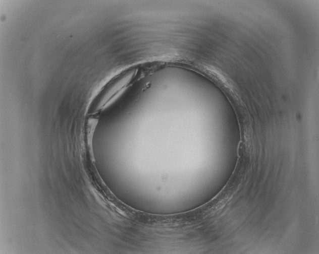 X0000078260532200611251331