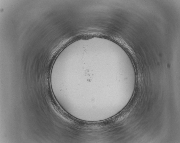 X0000078260533200611251331