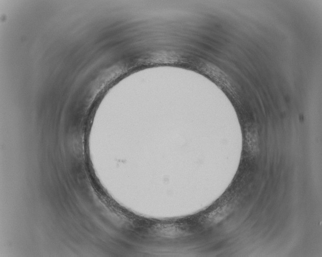 X0000078260534200611251331