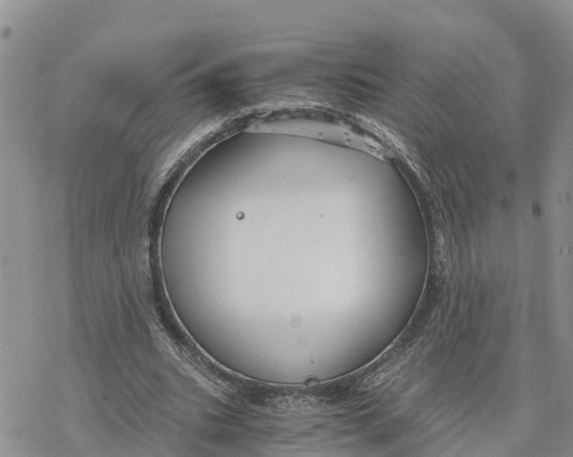 X0000078260535200611251331