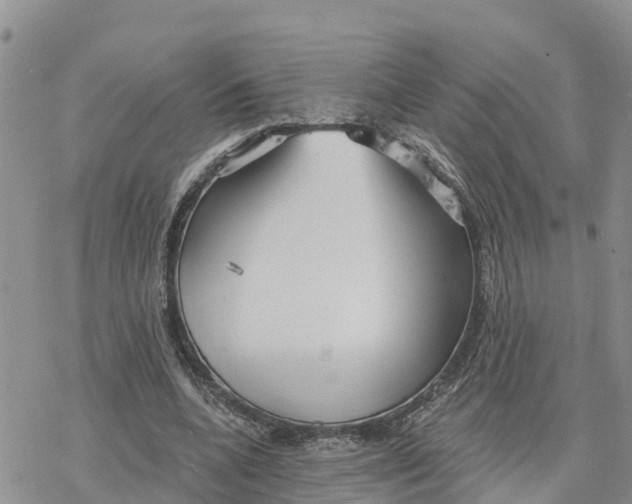 X0000078260536200611251331