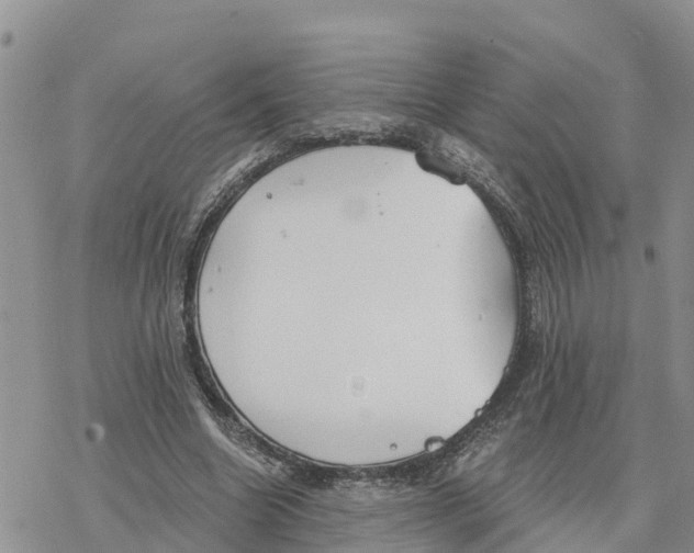 X0000078260538200611251331