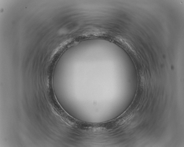 X0000078260539200611251331