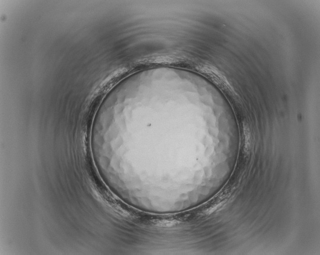 X0000078260542200611251331