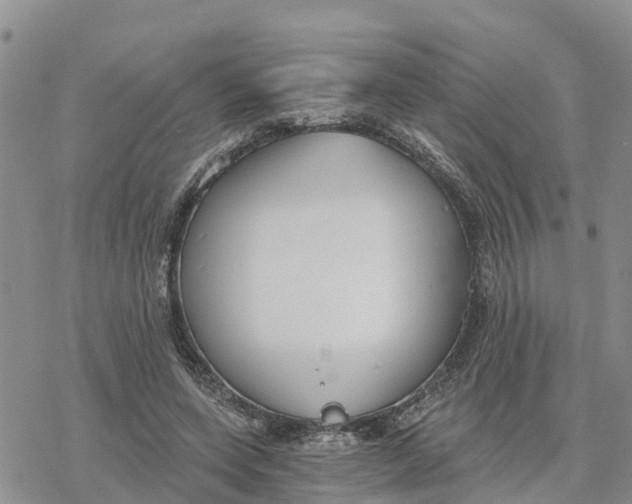 X0000078260543200611251331