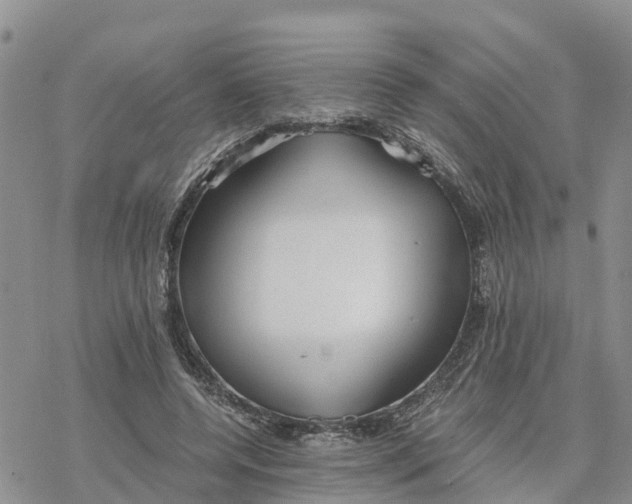 X0000078260544200611251331