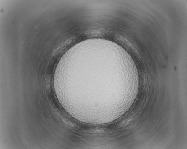 X0000078260545200611251331