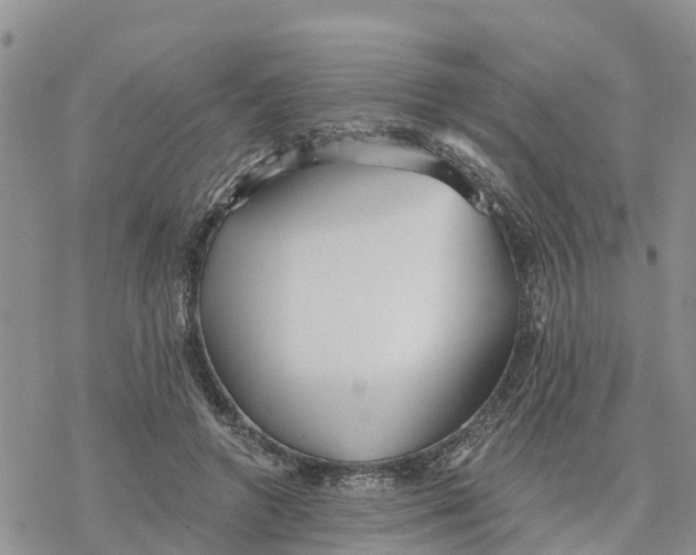 X0000078260546200611251331